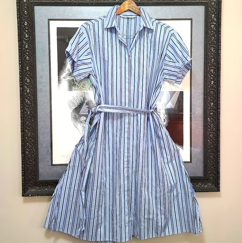 Zara Z1975 Basic Denim Dress